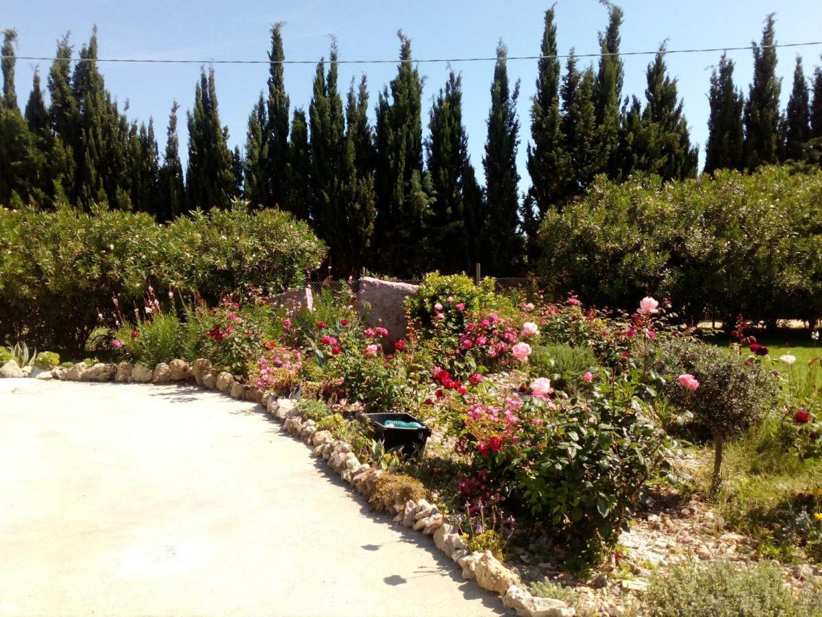 Il Giardino Delle Rose A Apartment Olmedo Exterior photo