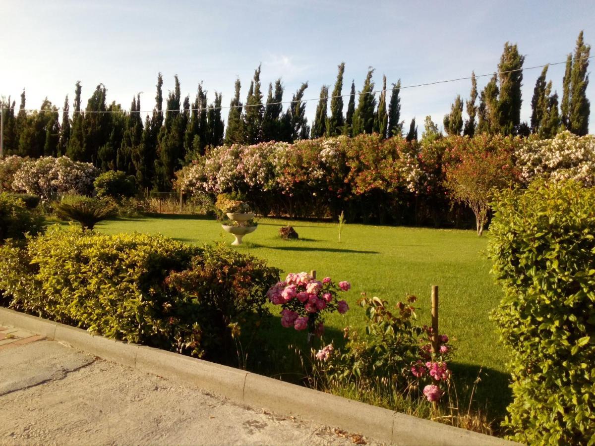 Il Giardino Delle Rose A Apartment Olmedo Exterior photo