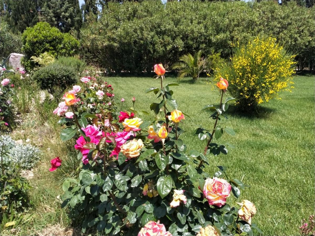 Il Giardino Delle Rose A Apartment Olmedo Exterior photo